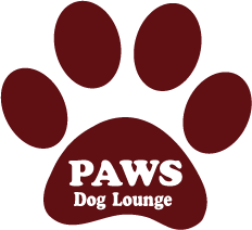 PAWS Salon